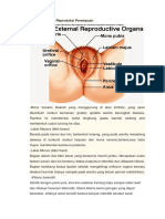 Anatomi Sistem Reproduksi Perempuan