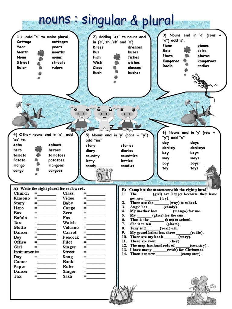 Plural and Singular Nouns: Comprehensive Expression