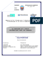 Demarche Audit Informatique Dans Une Banque PDF
