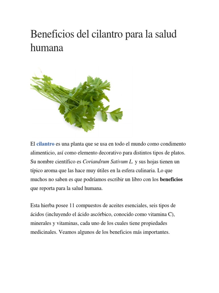 Beneficios Del Cilantro para La Salud Humana PDF Cilantro Digestión