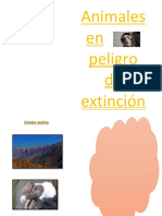 Animales en Peligro de Xtoncion