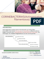 Corino Bacterias