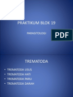 PRAKTIKUM BLOK 19 TREMATODA.ppt