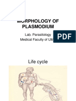 Praktikum Blok 19 Morphology of Plasmodium