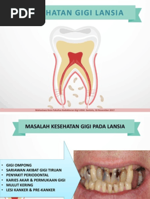 Penyuluhan Lansia Pdf
