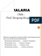 Presentation Malaria