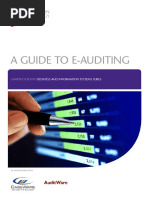 127 a Guide to e Auditing