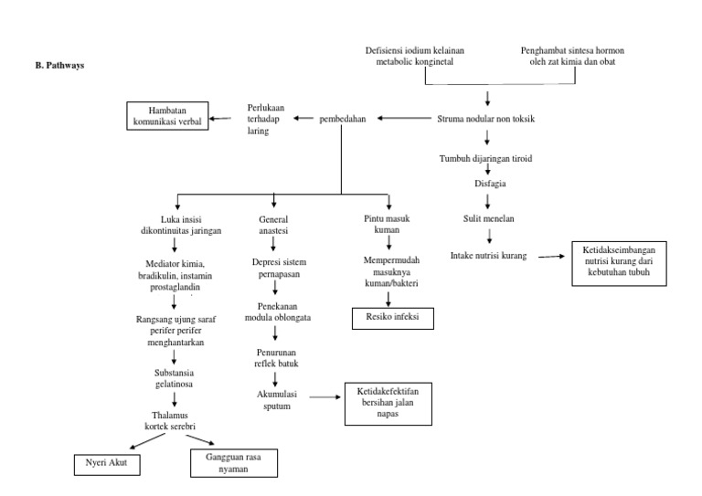 Pathways Struma Nodosa Non Toksik | PDF
