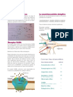 ResumenSolemne3Psicobiologia