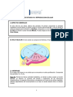 Ficha de Estudio Reproduccion Celular