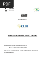 Relatorio Cliu - Instituto Carnauba - Ricardo e Jose Leonardo 1