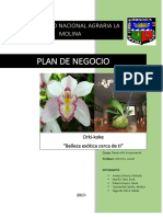 Plan de Negocio, Orquideas en Kokedamas