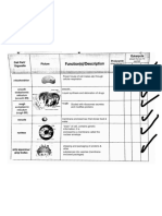 Organelle Chart