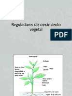 Reguladores de crecimiento vegetal: auxinas, citocininas, giberelinas y más