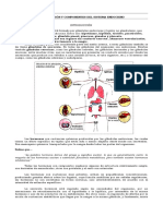 Guia de Biologia Hormonas Principales