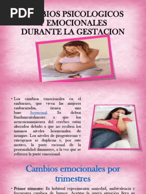 Cambios Psicologico Y Emocionales Durante El Embarazo