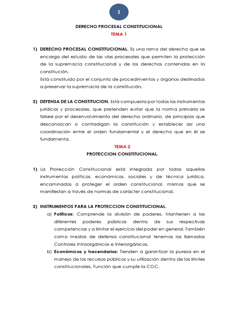 derecho-procesal-constitucional-1a-clasesa-descargar-gratis-pdf