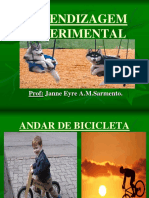 APRENDIZAGEM EXPERIMENTAL-novo PDF