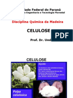 celulose2013.pdf