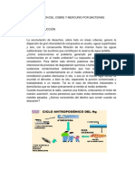 BIOTRANSFORMACION DEL COBRE Y MERCURIO POR BACTERIAS introduccion  y objetivos.docx