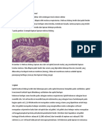 Histologi Mukosa Hidung Normal PUJI