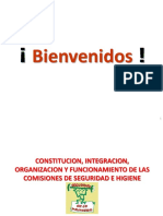 Organizacion y Funcionamiento de las Comisiones de Seguridad e Higiene.pdf