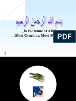 Arabic 4