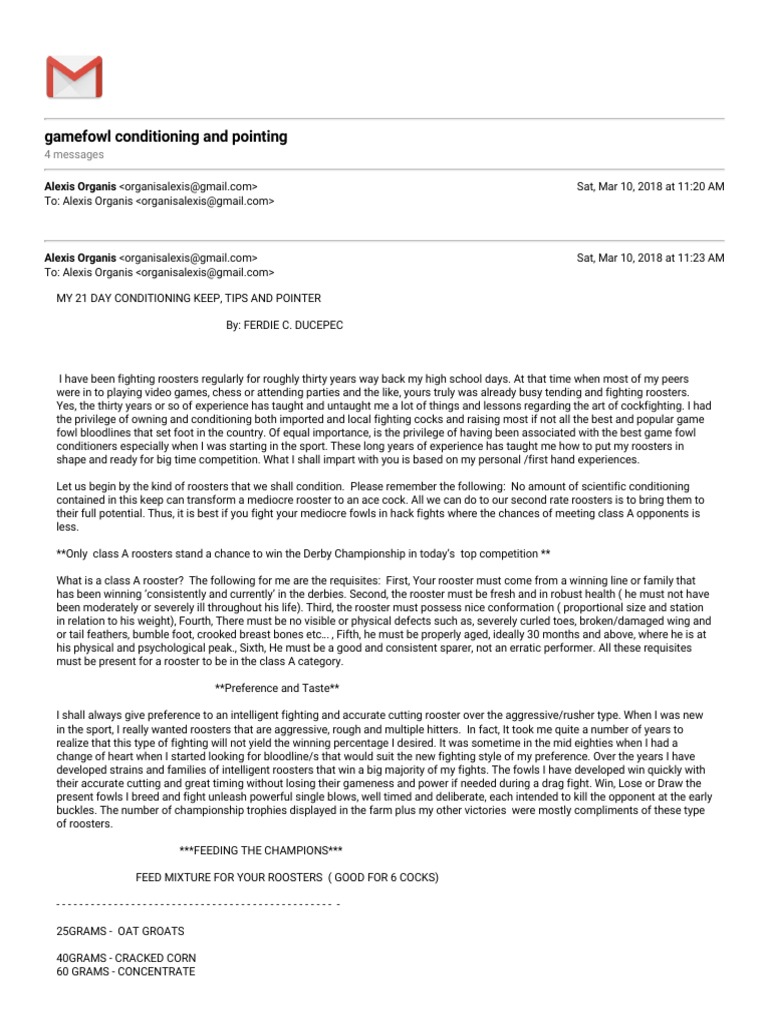 Gmail Gamefowl Conditioning and Pointing PDF PDF Oat Rooster