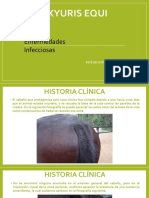 Oxyuris equi: Diagnóstico e identificación del parásito intestinal Oxyuris equi en caballos