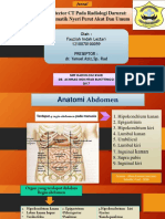 Akut Abdomen Radiologi Jurnal