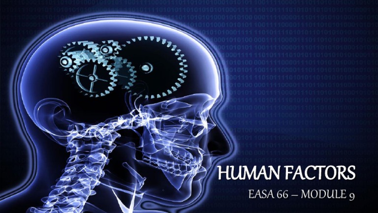 Human Factors | PDF