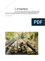 The Magic of Bamboo