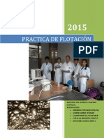 Informe de Flotacion