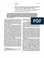 Processing of The T-DNA of Agrobacterium Tumefaciens Generates Border Nicks and Linear, Single-Stranded T-DNA