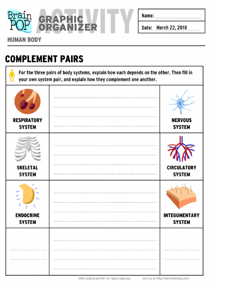 2human Body Activity Pages Brainpop PDF