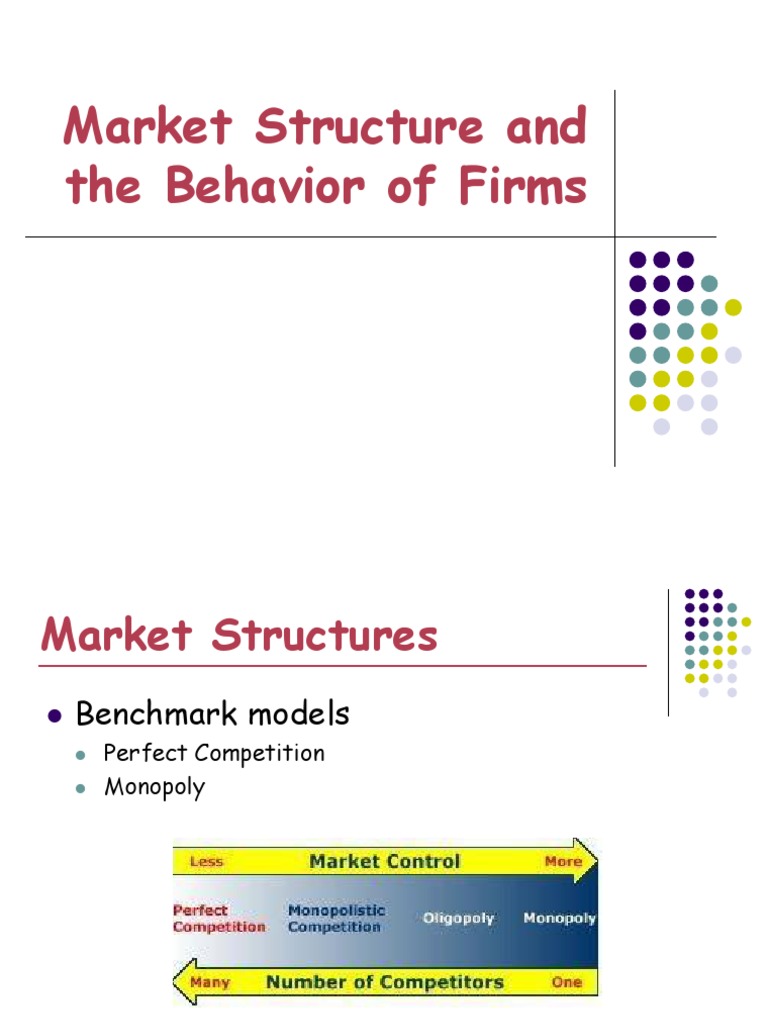 Market Structures and Firm Behavior Analysis | PDF