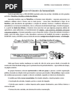 04 - Considerações Finais