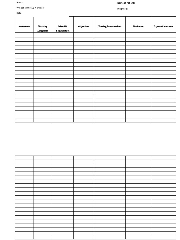 NCP Format | PDF | Wellness