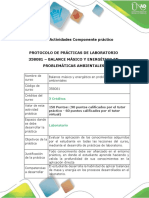Protocolo para el desarrollo del componente práctico.pdf
