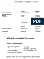 Clasificación y ciclos de Cestodes