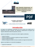 2a-introduccion-lagunas-po-2014.pdf