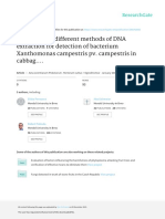 Evaluation of Different Methods of DNA Extraction For Detection of Bacterium Xanthomonas Campestris Pv. Campestris in Cabbag...