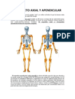 Esqueleto Axial y Apendicular 2