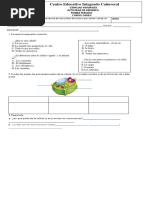 Taller de Resuerzo Naturales Cuarto