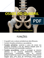 Ossos Do Quadril