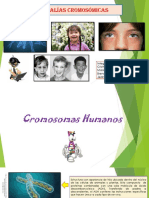 02 Anomalías Cromosómicas, Grupo IV