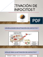 Activación de Linfocitos T