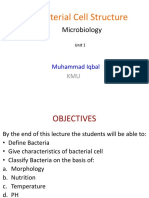 Bacteria (Unit I)