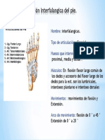 Articulacion Interfalangica Del Pie