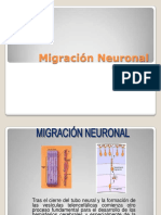Migracion Neuronal